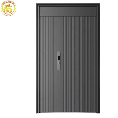 Modern Thermal Break Iron Security Front Entry Doors for Houses Exterior