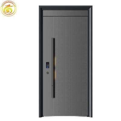 Modern Thermal Break Iron Security Front Entry Doors for Houses Exterior