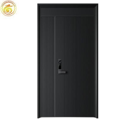 Modern Thermal Break Iron Security Front Entry Doors for Houses Exterior