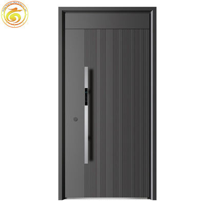 Modern Thermal Break Iron Security Front Entry Doors for Houses Exterior