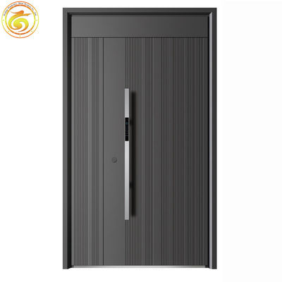 Modern Thermal Break Iron Security Doors for Houses Exterior