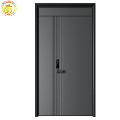 Modern Thermal Break Iron Steel Security Door for Home