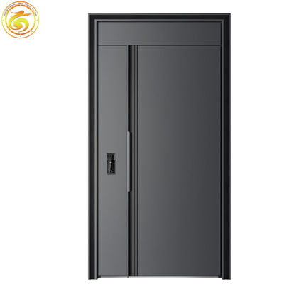Modern Thermal Break Iron Steel Security Door for Home