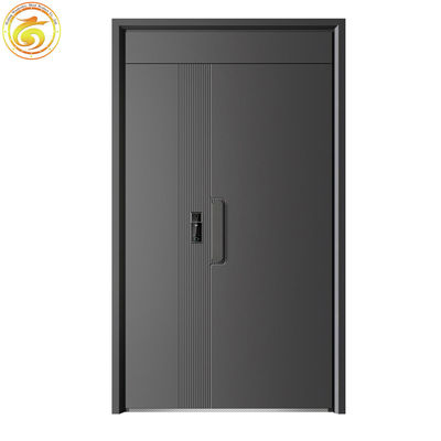 Chinese Modern Thermal Break Iron Metal Security Front Door