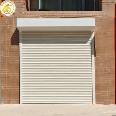 Galvanized Steel /aluminum /material Tubular Motor Roller Shutter Industrial for Warehouse Door